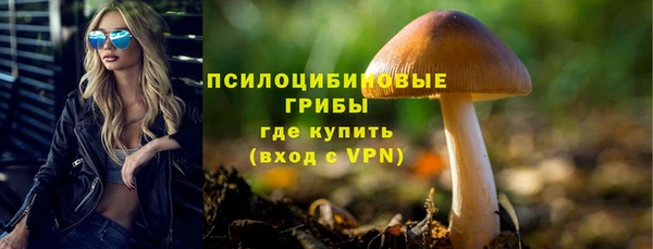 твердый Алзамай