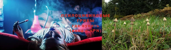 трава Абаза
