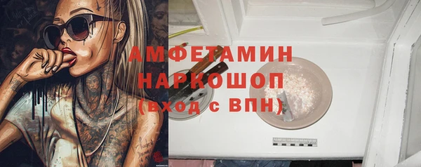 трава Сатка