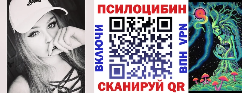 купить наркоту Зубцов MEGA ТОР Галлюциногенные грибы Cubensis